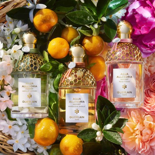 GUERLAIN  3346470146990